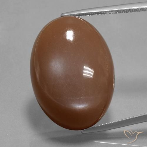 33.40ct Natural Warm Brown Moonstone, Oval, Opaque