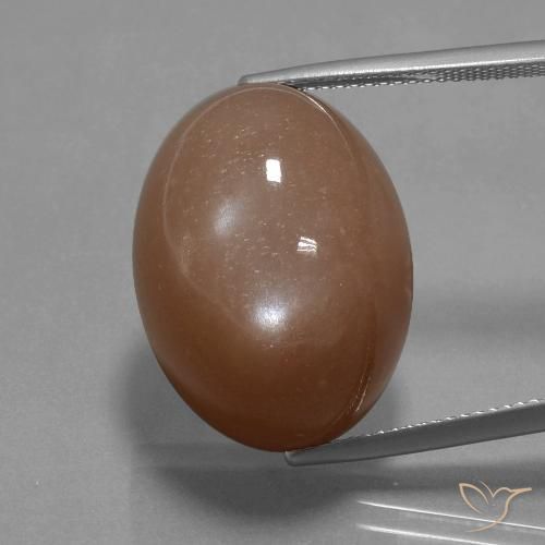 32.77ct Natural Warm Brown Moonstone, Oval, Opaque