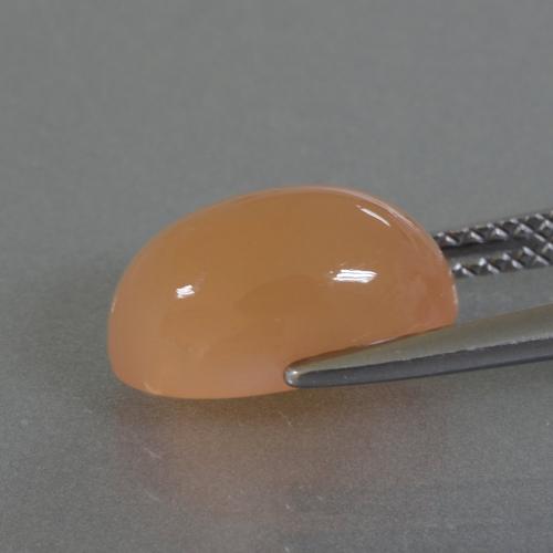 Moonstone Gemstone in 11.7 x 7.2 mm Size for Sale, Moonstone Stone in Cantaloupe Orange Color