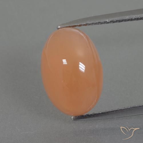 4.99 ct Orange Moonstone, 12.2 x 8.2 mm Oval Cut From India, Photo A