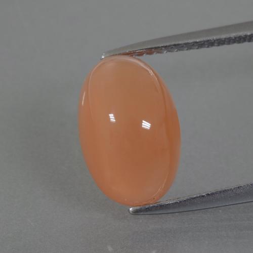 Pêche Orange Pierre de Lune gemme - 4.4ct Ovale Cabochon (ID: 403699)