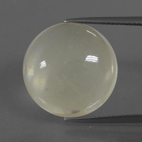 Light Yellow Moonstone Gem - 14.4ct Round Cabochon (ID: 405388)