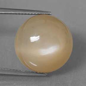 Dorado durazno claro Piedra de Luna Gema - 16.4ct Cabujón Redondo (ID: 406187)