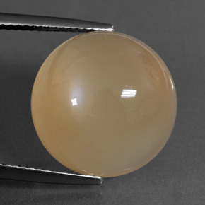 Medium Orange Moonstone Gem - 16.9ct Round Cabochon (ID: 406317)