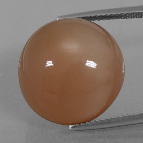 Warm Brown Moonstone Gem - 23.3ct Round Cabochon (ID: 406639)