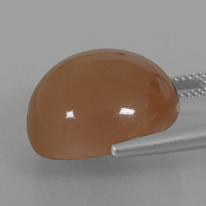 Moonstone Gemstone in 18 mm (calibrated) Size for Sale, Moonstone Stone in Warm Brown Color