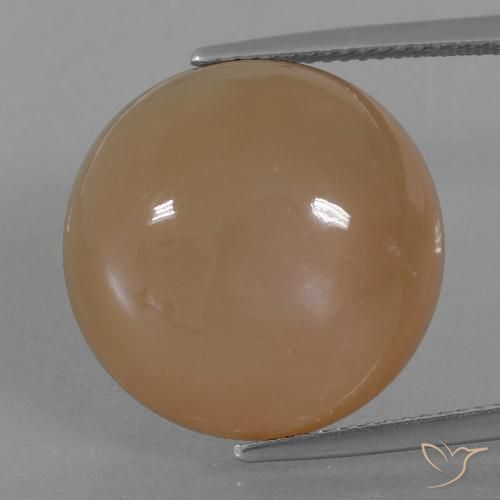 23.89ct Natural Caramel Brown Moonstone, Round, Translucent