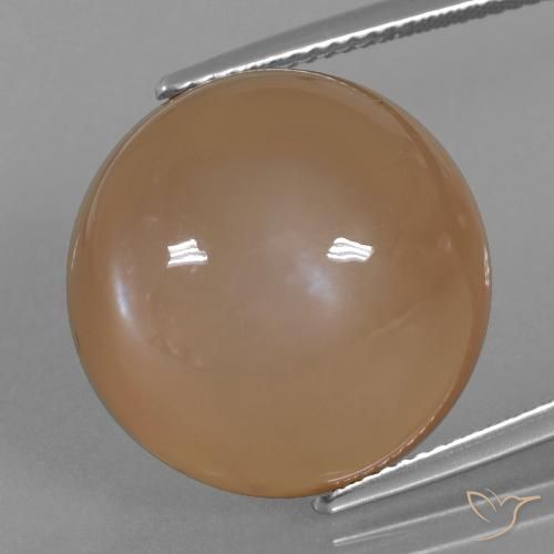 24.65ct Natural Caramel Brown Moonstone, Round, Translucent