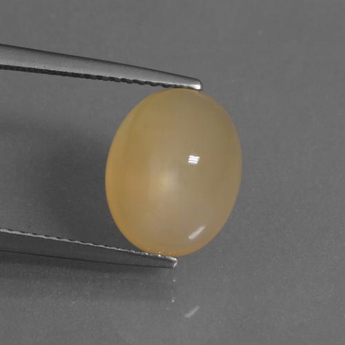 Orange-Gold Moonstone Gem - 5ct Oval Cabochon (ID: 430159)