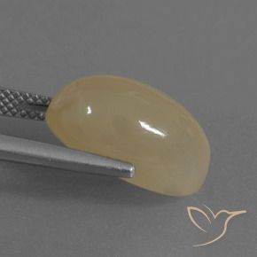 Moonstone Gemstone in 15 x 9.1 mm Size for Sale, Moonstone Stone in Light Coffee Brown Color