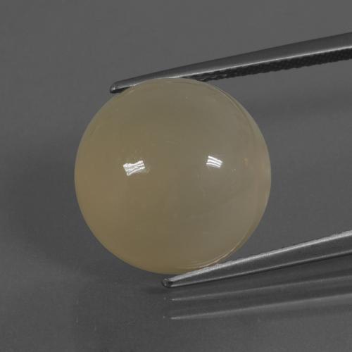 Light Golden Moonstone Gem - 11.5ct Round Cabochon (ID: 445740)