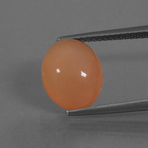 Orange clair Pierre de Lune gemme - 4.5ct Ovale Cabochon (ID: 445755)