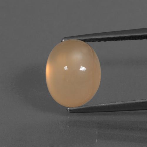 Orange moyen-léger Pierre de Lune gemme - 4.7ct Ovale Cabochon (ID: 445763)