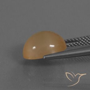 Moonstone Gemstone in 11 x 9 mm (calibrated) Size for Sale, Moonstone Stone in Cantaloupe Orange Color