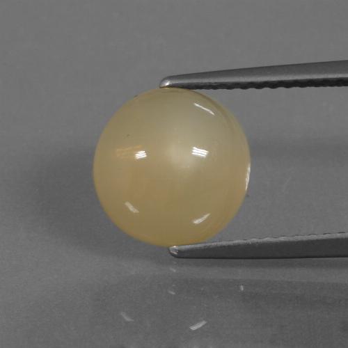 Golden Moonstone Gem - 3.4ct Round Cabochon (ID: 445797)