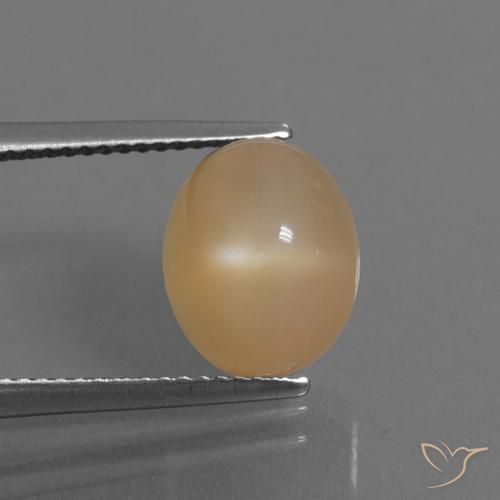 Pierre de Lune Doré oval cabochon de l'Inde, 11 x 9mm, poids de 5,32 ct, pierre gemme naturelle Non traité de pureté Translucide, 1 pièce Pierre de Lune, couleur Orange-or, dureté Mohs de 6 à 6.5, Photo A