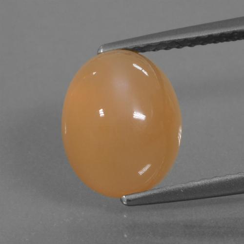 Naranja cantaloupe Piedra de Luna Gema - 4.1ct Cabujón Óvalo (ID: 445922)