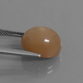 Moonstone Gemstone in 12 x 10 mm (calibrated) Size for Sale, Moonstone Stone in Peanut Brown Color