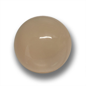 Light Coffee Brown Moonstone Gem - 24.5ct Round Cabochon (ID: 458810)