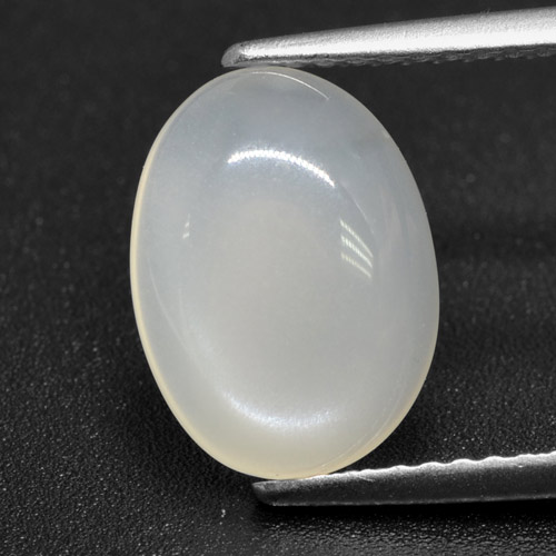 Translucent White Moonstone Gem - 2.6ct Oval Cabochon (ID: 460125)