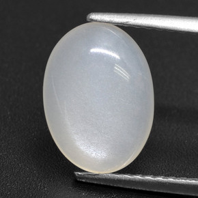 Translucent White Moonstone Gem - 2.8ct Oval Cabochon (ID: 460175)