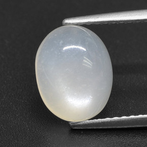 Translucent White Moonstone Gem - 2.9ct Oval Cabochon (ID: 460178)