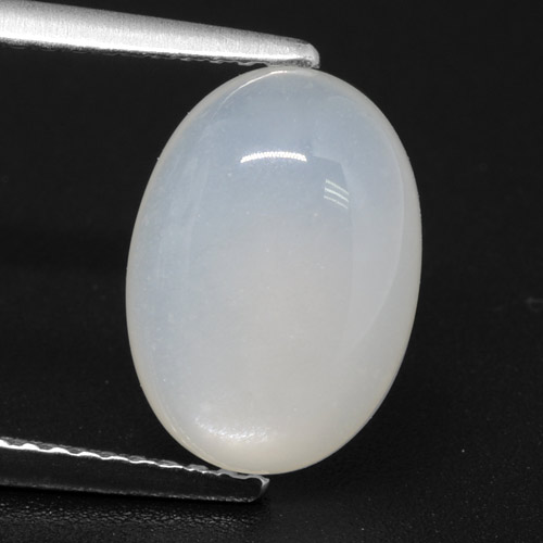 Translucent White Moonstone Gem - 3.6ct Oval Cabochon (ID: 460231)