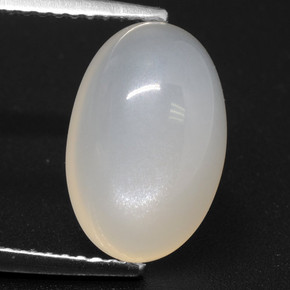Translucent White Moonstone Gem - 4.9ct Oval Cabochon (ID: 460233)