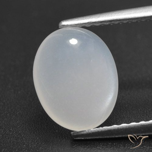 Translucent White Moonstone Gem - 2.2ct Oval Cabochon (ID: 460288)