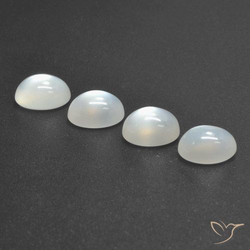 Translucent White Moonstone Gem - 1.5ct Oval Cabochon (ID: 460309)