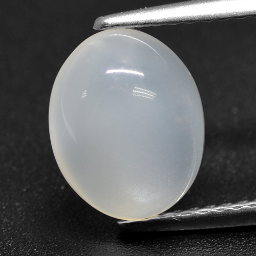 Translucent White Лунный Камень Камень - 2.6ct Овал Кабошон (ID: 460390)