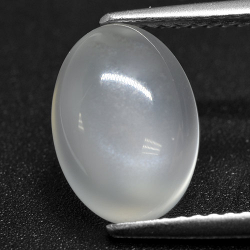 Translucent White Moonstone Gem - 2.5ct Oval Cabochon (ID: 460391)