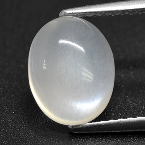 Translucent White Moonstone Gem - 2.5ct Oval Cabochon (ID: 460393)