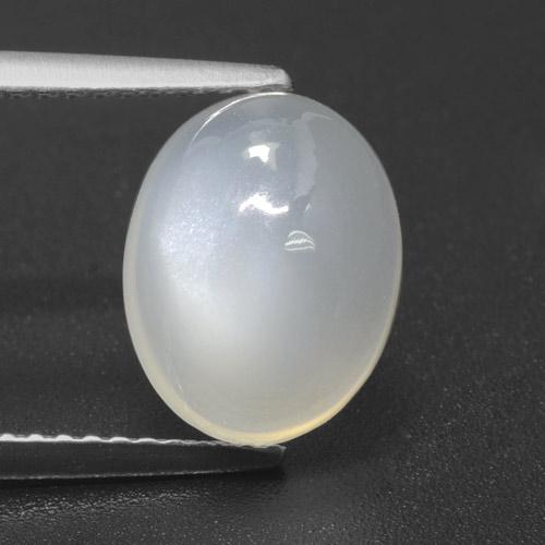 Translucent White Moonstone Gem - 3.5ct Oval Cabochon (ID: 460421)