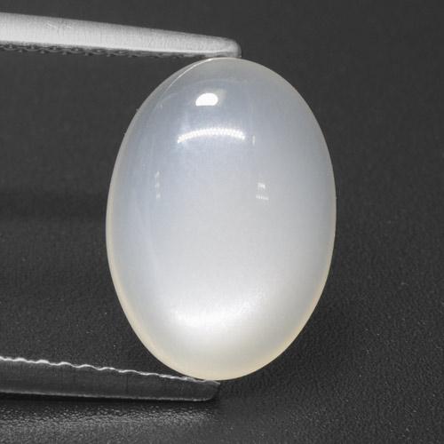Translucent White Лунный Камень Камень - 3.7ct Овал Кабошон (ID: 460480)