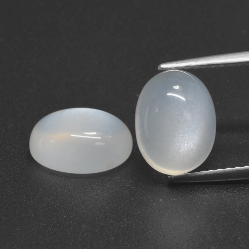 Translucent White Moonstone Gem - 2.7ct Oval Cabochon (ID: 460539)