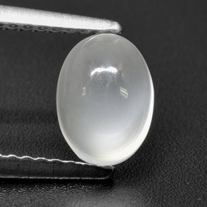 Translucent White Лунный Камень Камень - 1.1ct Овал Кабошон (ID: 460553)