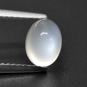 Translucent White Лунный Камень Камень - 1.4ct Овал Кабошон (ID: 460554)