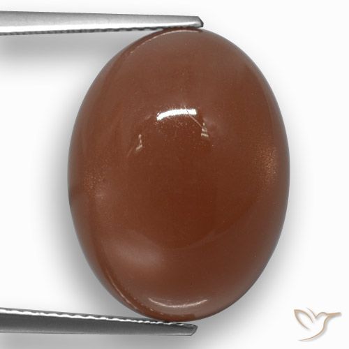 17.21ct Natural Reddish Brown Moonstone, Oval, Translucent