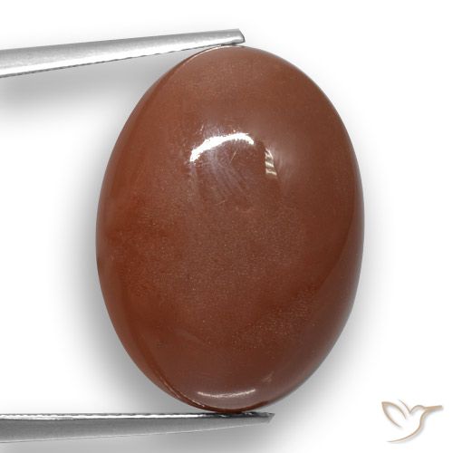 20.59ct Natural Medium Brown Moonstone, Oval, Translucent