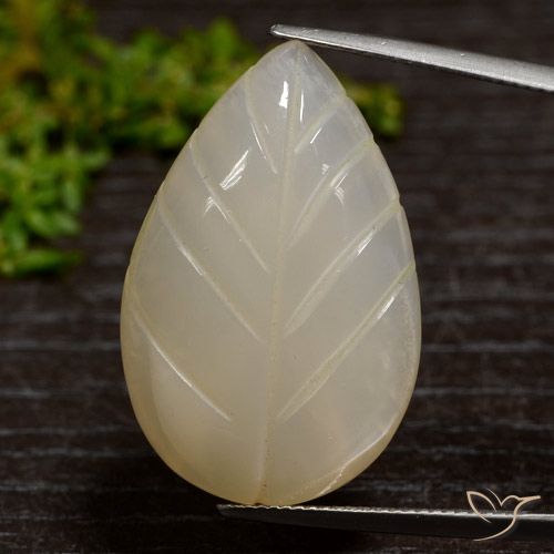 Marrón café claro Piedra de Luna Gema - 31.1ct Hoja tallada (ID: 472685)