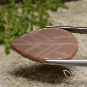 15.59 ct Brown Moonstone Stone, Natural Moonstone in Carved Leaf Shape for Sale