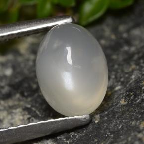 Translucent White Moonstone Gem - 1.6ct Oval Cabochon (ID: 479917)