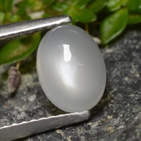 1.4ct Oval Cabochon Cream Moonstone for sale thumb image of 1.4ct Oval Cabochon Cream Moonstone (ID: 479927)