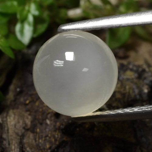 Warm White Moonstone Gem - 2.4ct Round Cabochon (ID: 479961)