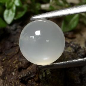 1.5ct Round Cabochon Cream Moonstone Gem for sale 1.5ct Round Cabochon Cream Moonstone Gem (ID: 479962)