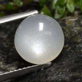 Translucent White Moonstone Gem - 2.9ct Round Cabochon (ID: 480157)