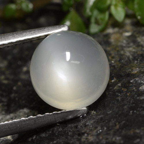 8.3mm Round Cabochon White Moonstone from India, Weight of 2.6ct, Natural untreated gemstone in Translucent Clarity, 1pc Moonstone - the Color is Warm White, Mohs Hardness of 6 - 6.5, Photo A
