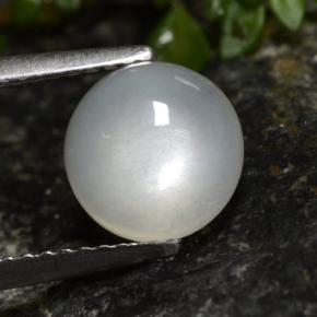 Translucent White Лунный Камень Камень - 1.9ct Круглый Кабошон (ID: 480161)