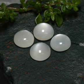 8.05 ctw White Moonstone Gemstones, Moonstone Gems in Round Cabochon Shape for Sale.